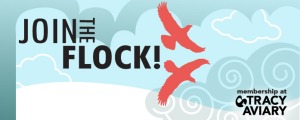 join_the_flock_eblastnewsletter